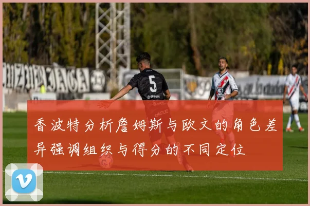 香波特分析詹姆斯与欧文的角色差异强调组织与得分的不同定位